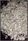 Дамиана (Turnera diffusa) - фото 5846